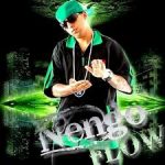 Ñengo Flow - Greatest Hits 2 (2010) Album